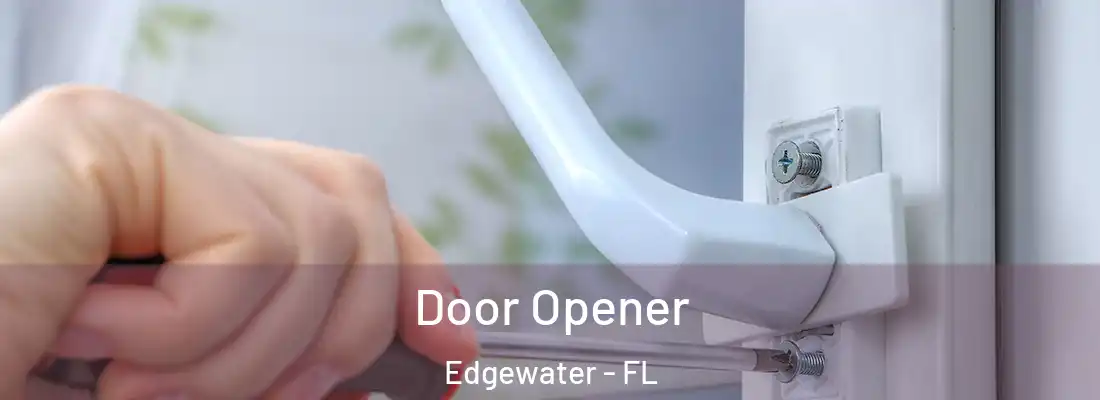  Door Opener Edgewater - FL