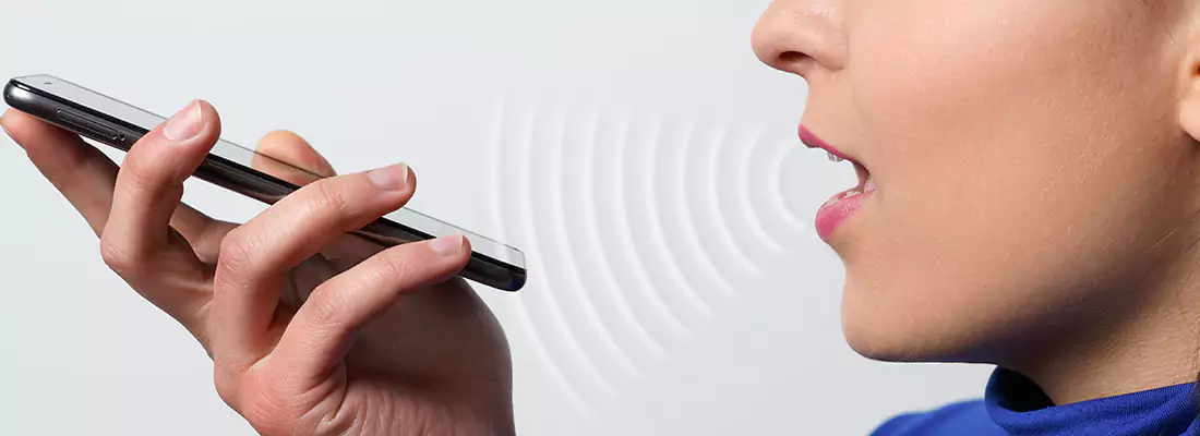 Residential and Commercial Voice Recognition Access Solutions in Edgewater, FL